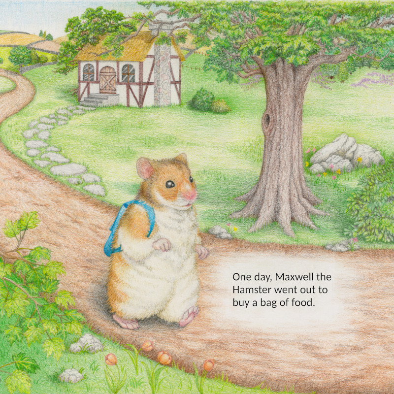 page 1 of book